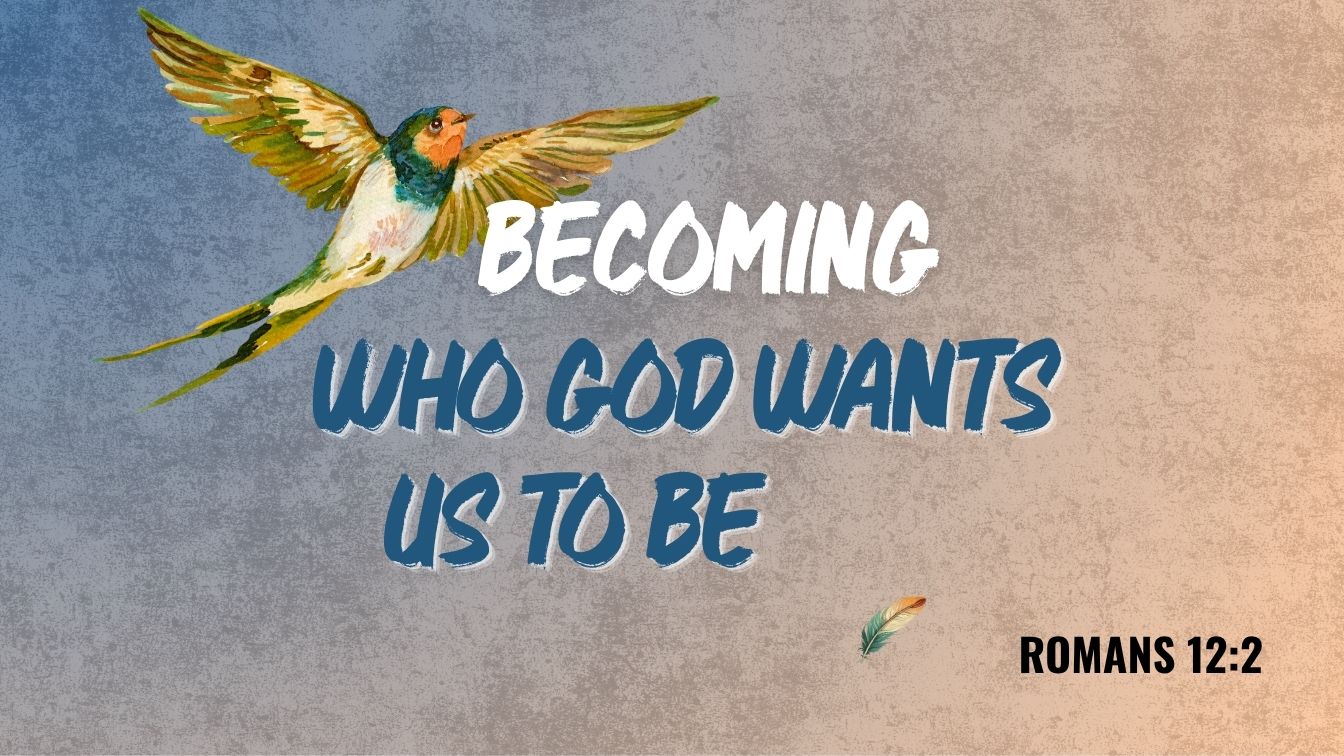 THE Baby Story sermon graphic